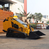 Multi Purpose Skid Steer Loader