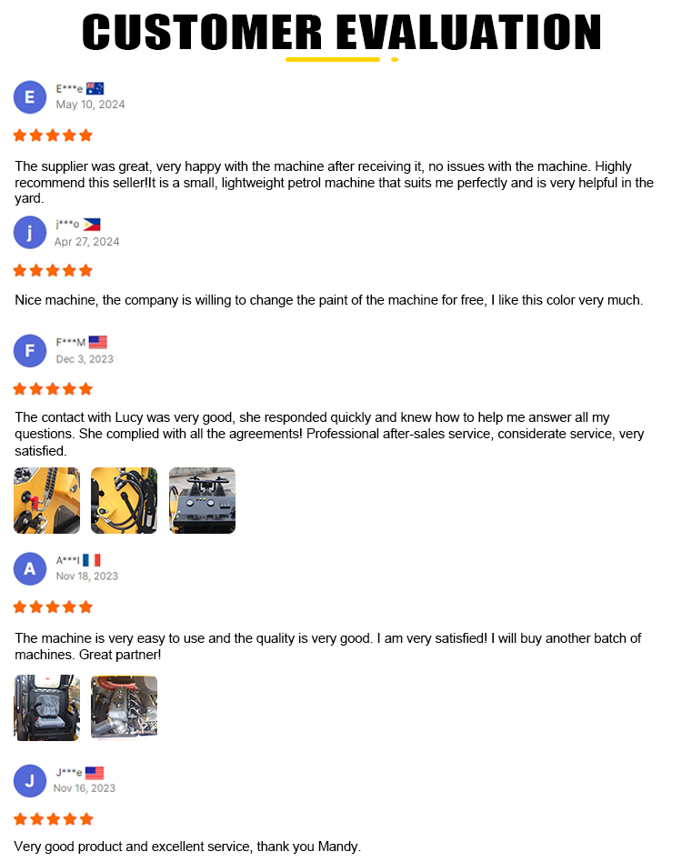 Free Shipping China Factory Home Farm Garden Riding on Mini Skid Steer Loader with CE EPA manufacture