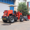 Compact Wheel Loader